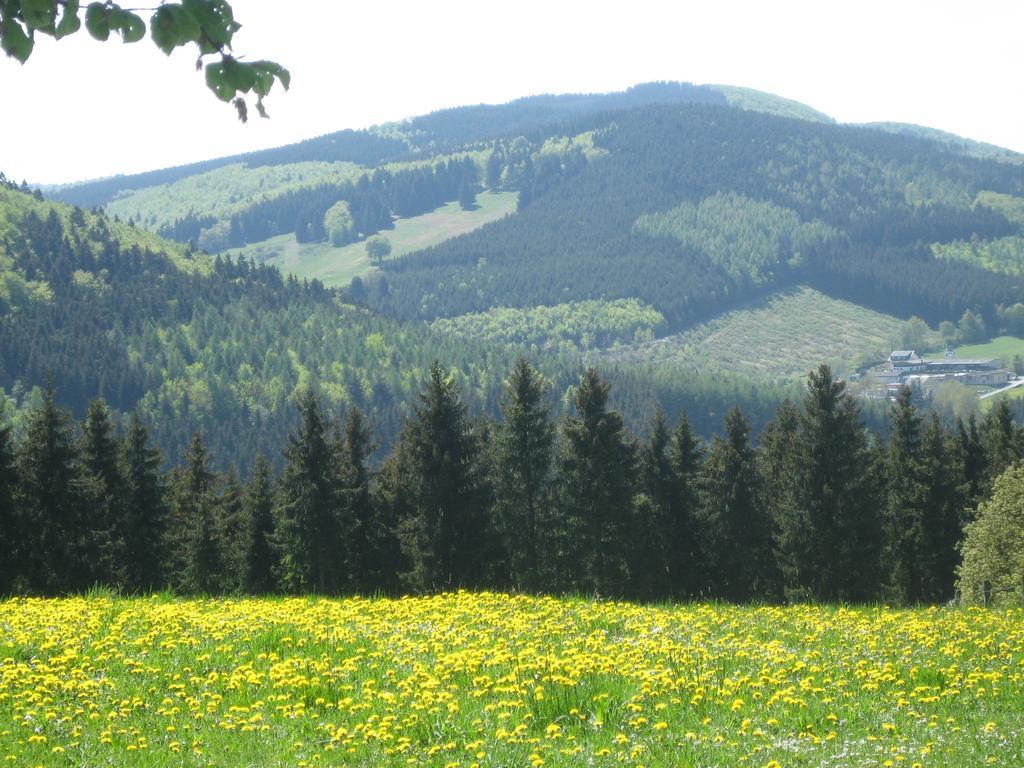 Ferienwohnung Inge Steinrücken Winterberg Exterior foto